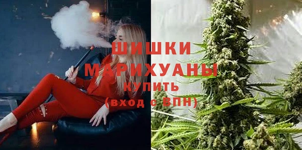 apvp Богородск