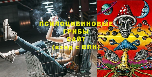 прущие крисы Богданович