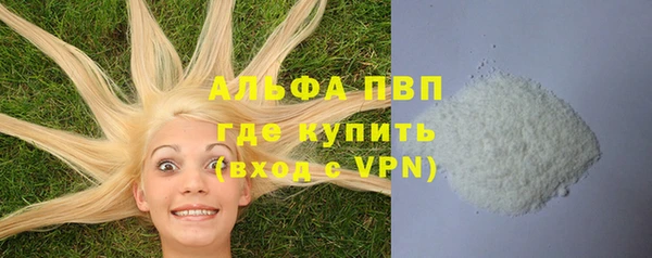 прущие крисы Богданович