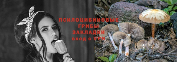 прущие крисы Богданович