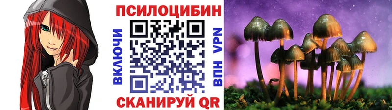 Псилоцибиновые грибы мицелий  мега ONION  Богородск 